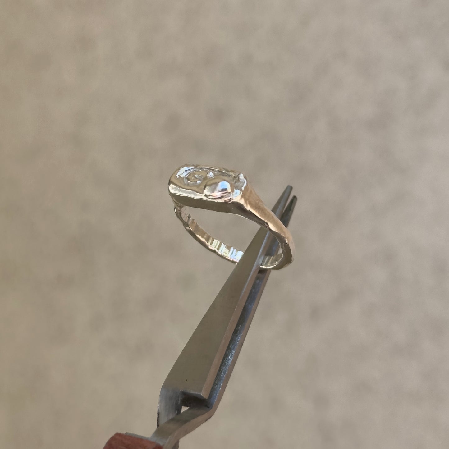 bug ring