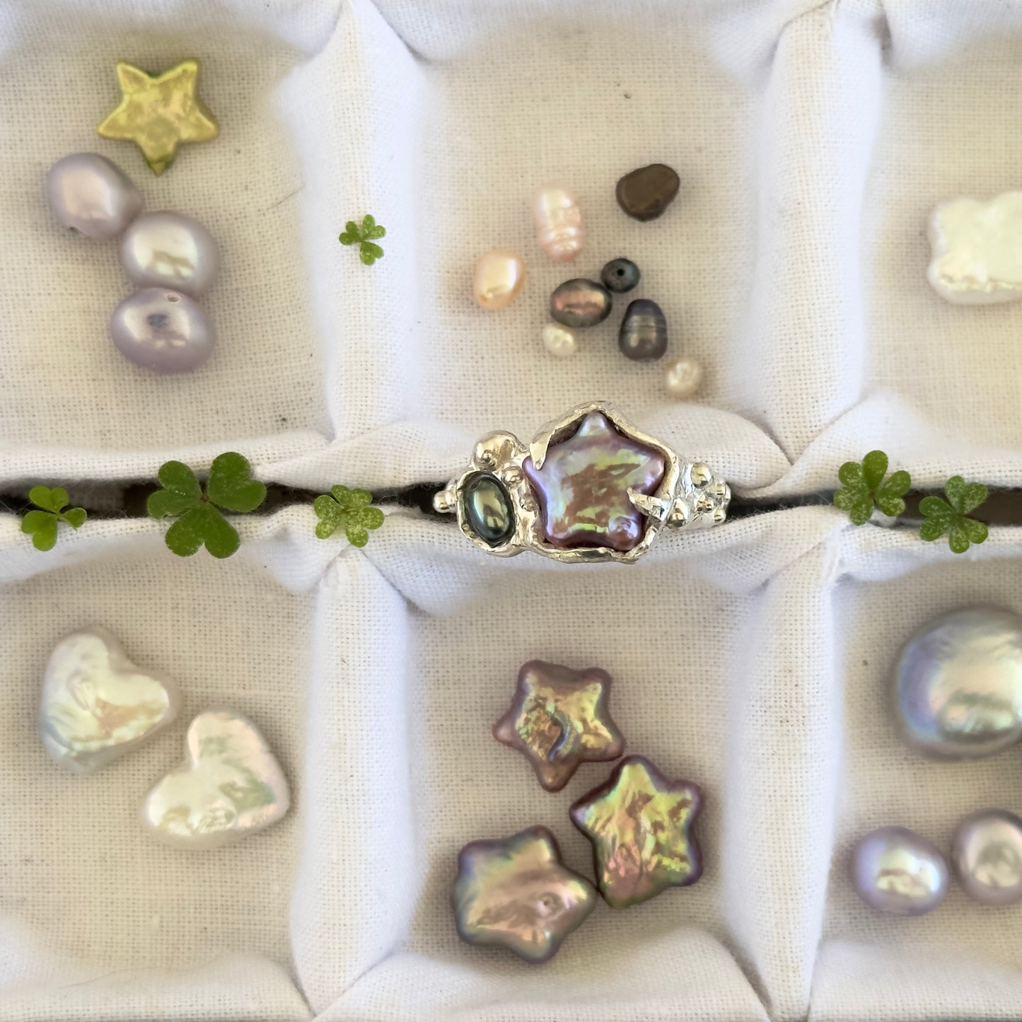 Star in the Sea